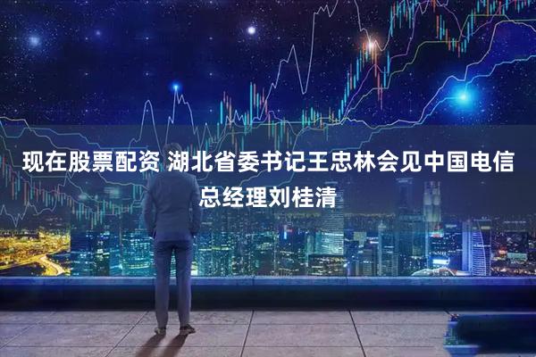 现在股票配资 湖北省委书记王忠林会见中国电信总经理刘桂清
