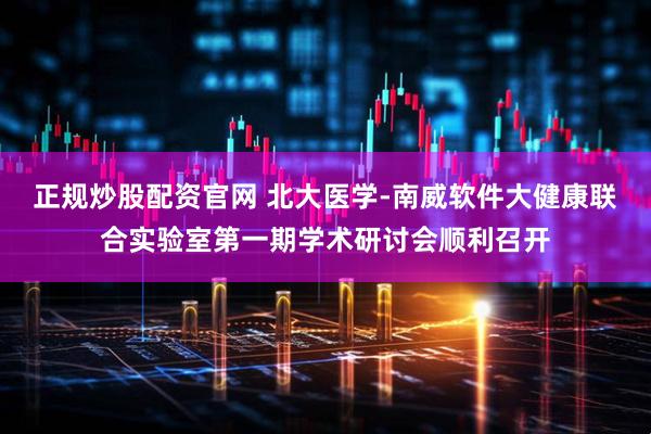 正规炒股配资官网 北大医学-南威软件大健康联合实验室第一期学术研讨会顺利召开
