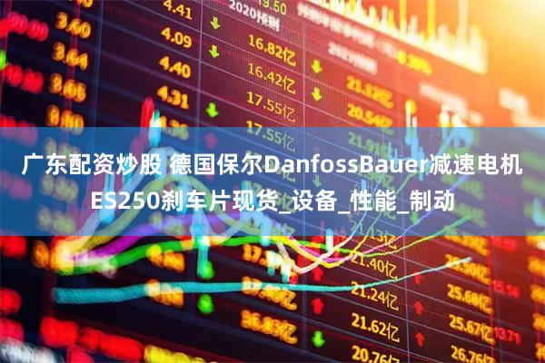 广东配资炒股 德国保尔DanfossBauer减速电机ES250刹车片现货_设备_性能_制动